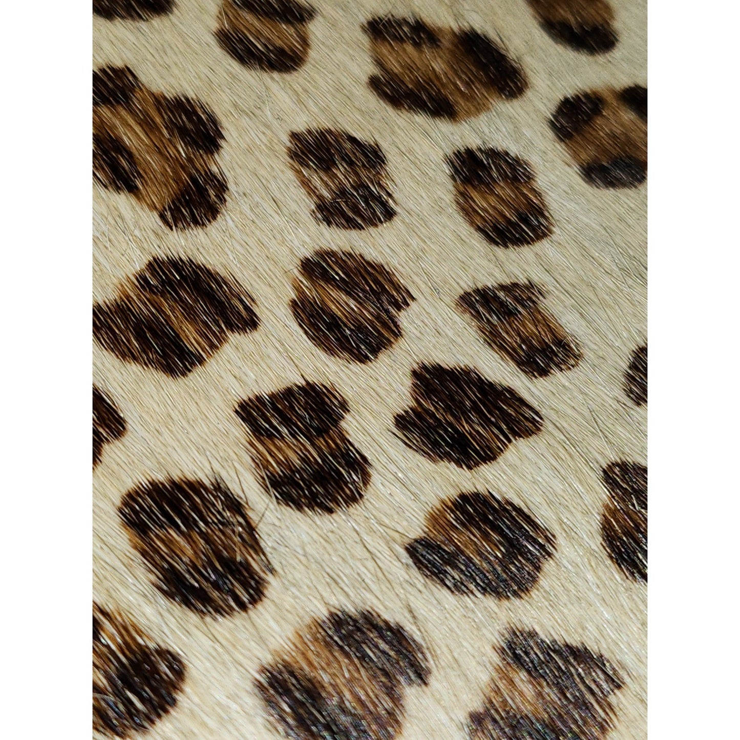 Sloane Leopard Print Calf Hair Leather Crossbody Bag Brown Red