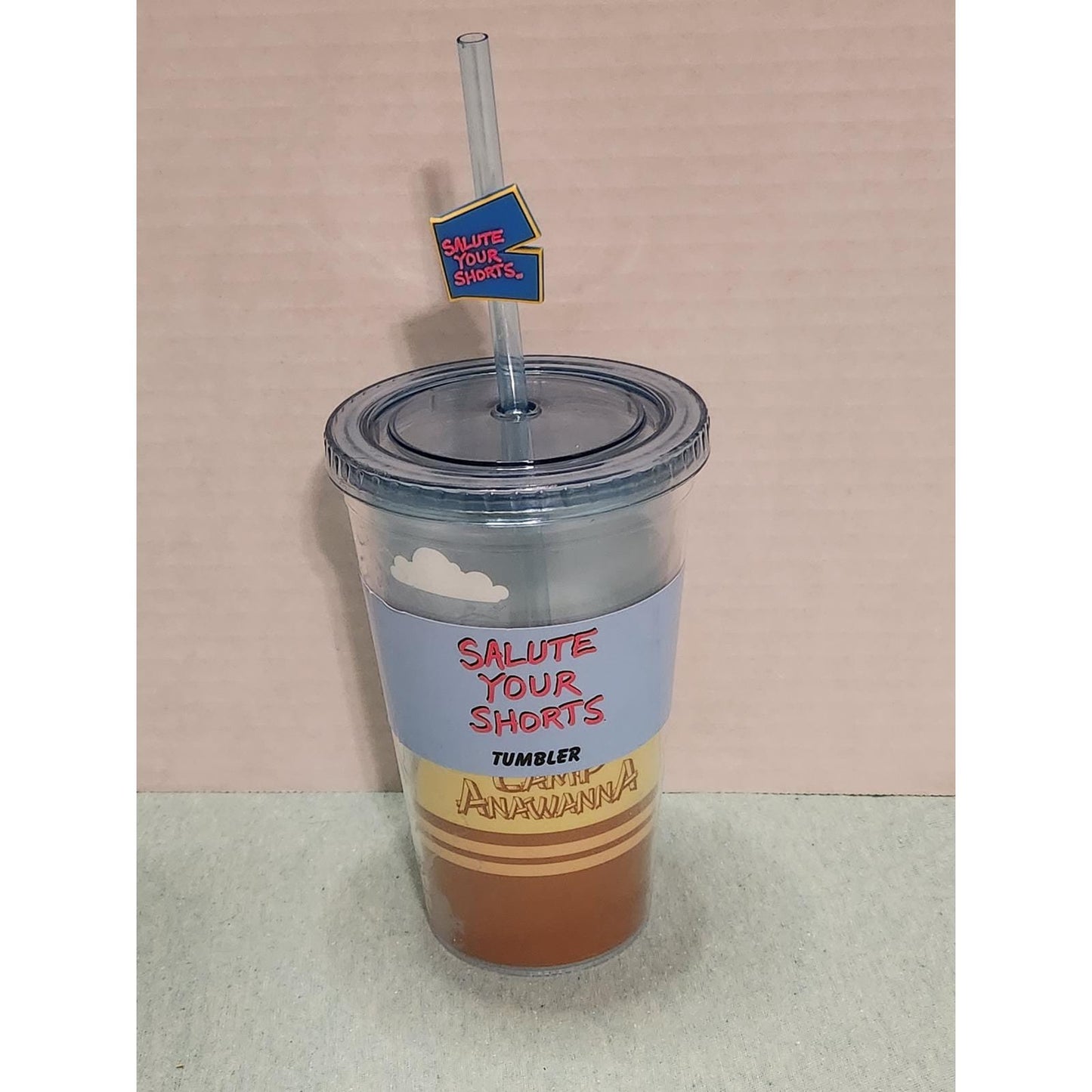 Nickelodeon Salute Your Shorts Tumbler Camp Anawanna Nick Box 90s Nostalgia 16oz
