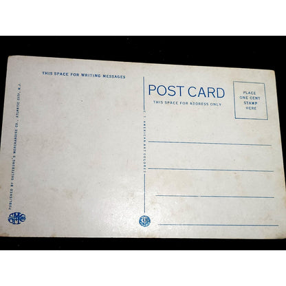 VTG Postcard Haddon Hall and Strand Hotel at Night Atlantic City New Jersey NJ